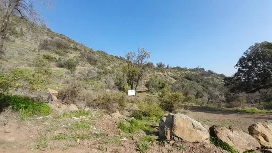 Gran Parcela En Venta En Lo Cañas, La Florida