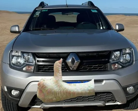 Renault Duster 2.0 Ph2 4x4 Privilege