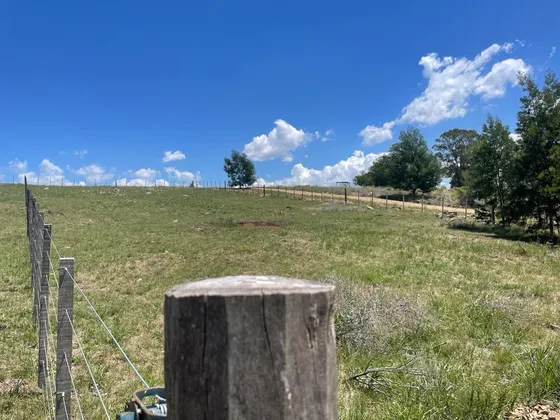 Terreno Zona Dique  En Tandil