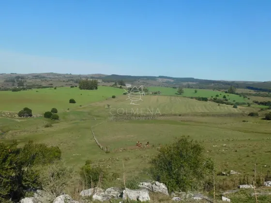 Atención Inversores!!! Campo 262 Has Pueblo Edén, Apto Para Fraccionamiento!