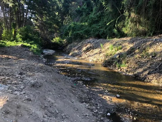 Buscas Un Estilo De Vida En Armonía Con La Naturaleza?
