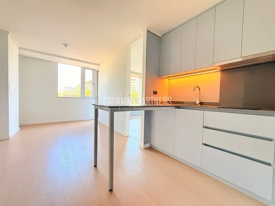 Arriendo Dpto 1d 1b / Metro Pedro De Valdivia / Providencia