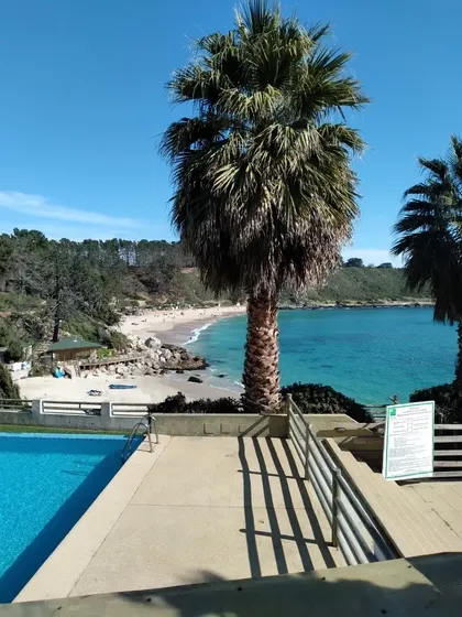 Algarrobo Depto. Pinares Del Canelillo, Algarrobo.