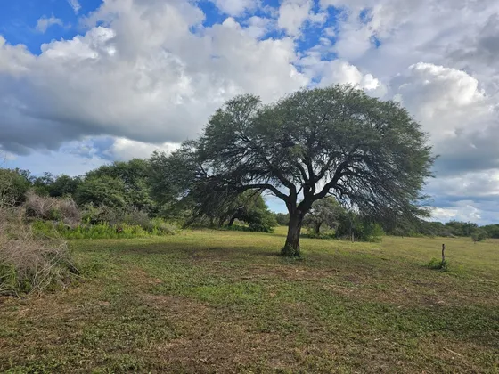   Hermoso Lote Dentro Del Ejido Urbano De Totoral, P