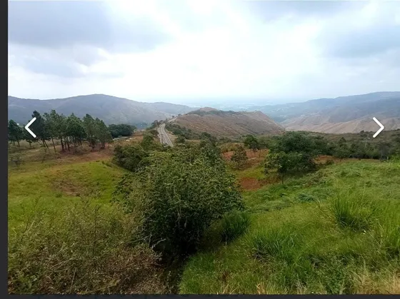 Exclusivo Lote En Venta De 3.000 M² En Dapa: ¡construye La Casa De Tus Sueños!