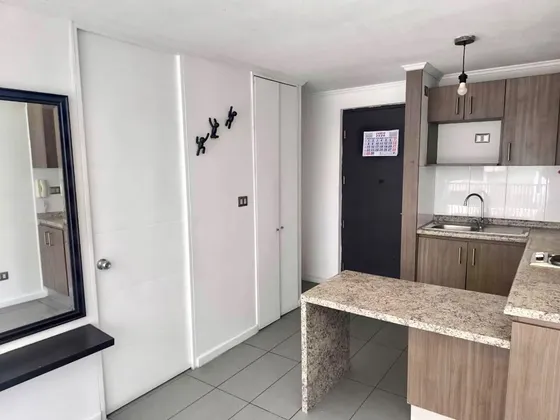 Venta Depto 1 Dorm En Santiago