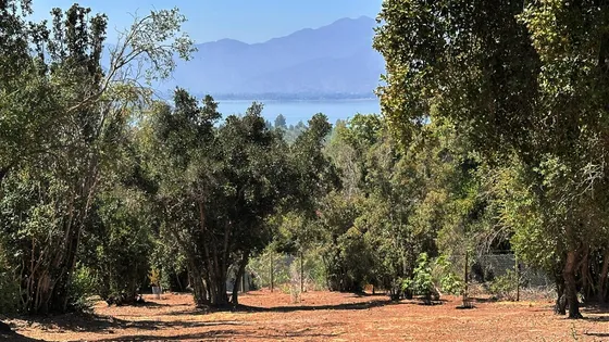 Parcela Condominio Bosques De Aculeo