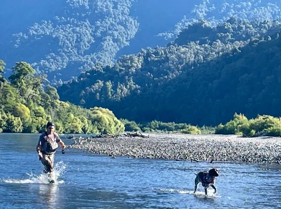 Parcela Río Petrohué Con 35mt De Orilla