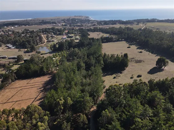 Sitio En Venta En Pichilemu