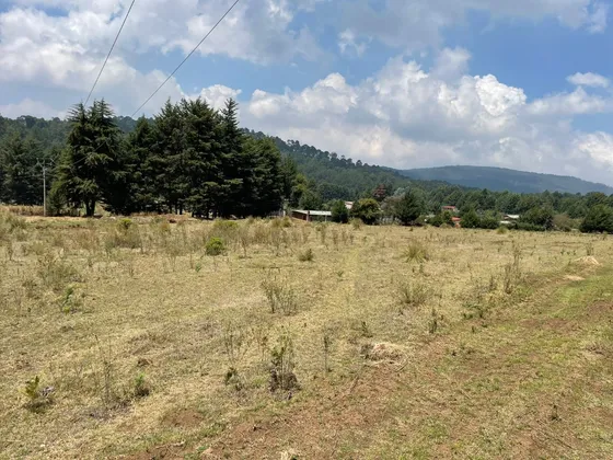 Magnifico Terreno En Venta En Mesa Rica