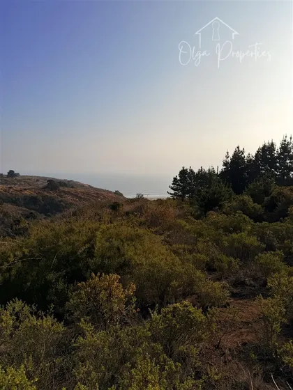 Terreno En Venta De 5.000m2 En Condominio Campomar, Tunquén