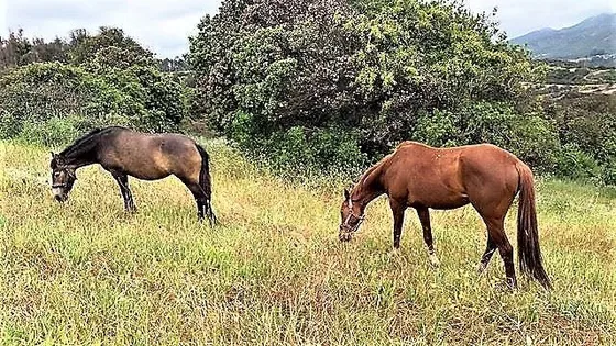 Sitio En Venta En Quintero