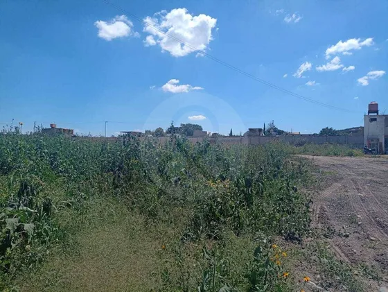 Terreno Comercial En Renta En Santa Cruz