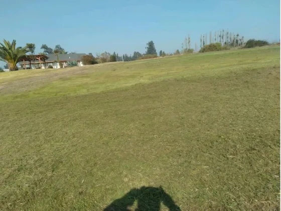 Se Vende Terreno. 5.000m2, Codigua, Melipilla.