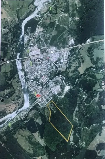Los Lagos, Plantación De Eucaliptus