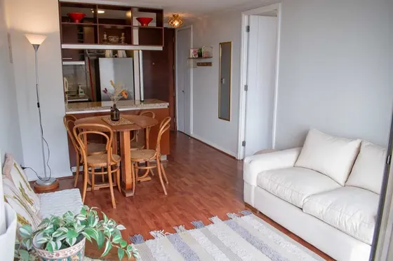 Arriendo Depto Amoblado 1 Habitación - Brown Norte (5289)