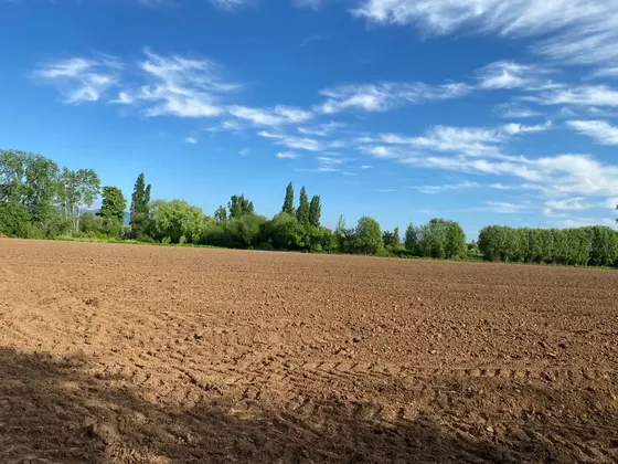 Espectacular Parcela Agrícola 22hás, Sector La Caña, Longaví