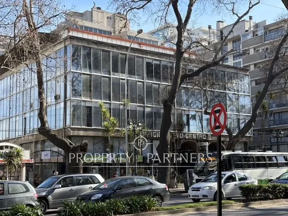 Se Arriendan Oficinas En Consulta Edificio Pleno C...