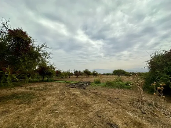 Espectacular Terreno Agroindustrial En Lo Solar, Lampa