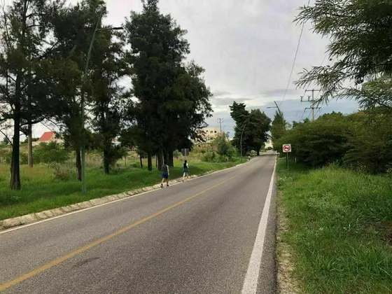 Venta De Terreno En Comitan