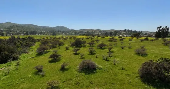 Venta De Parcelas Proyecto Piedra Amrilla Desde 5000m2