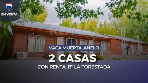 Venta! 2 Casas Con Renta | Ideal Inversión | Añelo