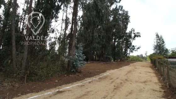 Terreno Plano Los Pinos Gran Conectividad