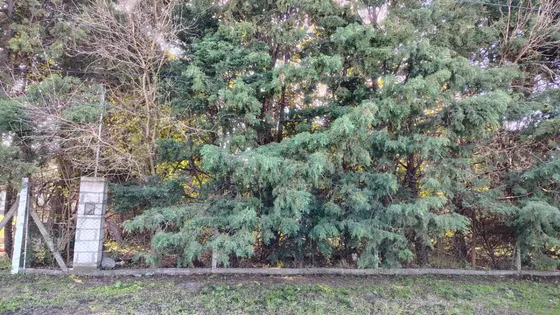 Lote Terreno En Ezeiza, Barrio La Celia O Pinar