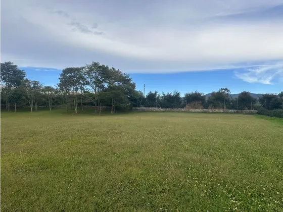 Lote En Venta Sector Vereda Guamito, En La Ceja Antioquia