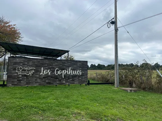 Loteo Los Copihues, Nueva Braunau A 15 Min De Puerto Varas