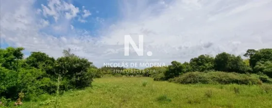 A Metros De José Ignacio, Rocha, Garzóny San Carlos