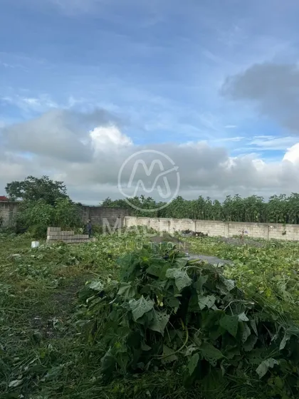 Terreno En Venta En Oaxtepec Con Cisterna.