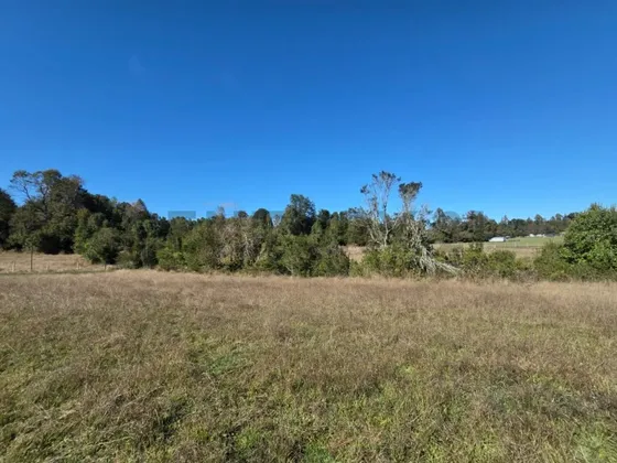 Venta De Parcela 5000 M2 Sector Casahue