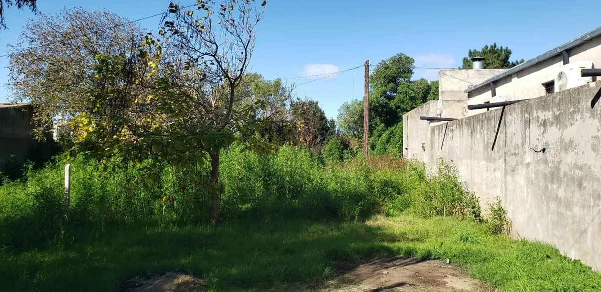Terreno 10x50 Sobre Asfalto, Todos Los Servicios, A 6 Cuadras De La Av 59