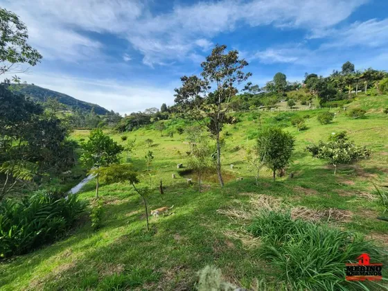 Terreno En Venta En Guarne - Vereda Juan Xxiii