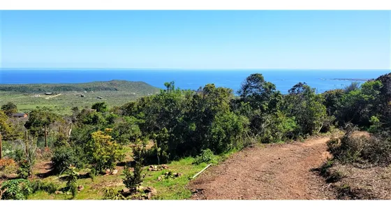 Arriendo De Parcela De 5.000 M2, Con Casa De Madera, En Los