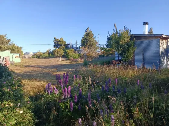 Terreno De 1.000 M² Venta Barranco Amarillo, Punta Arenas