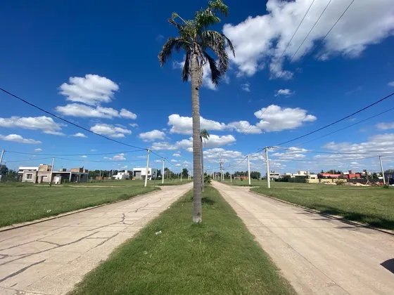 El Molino 