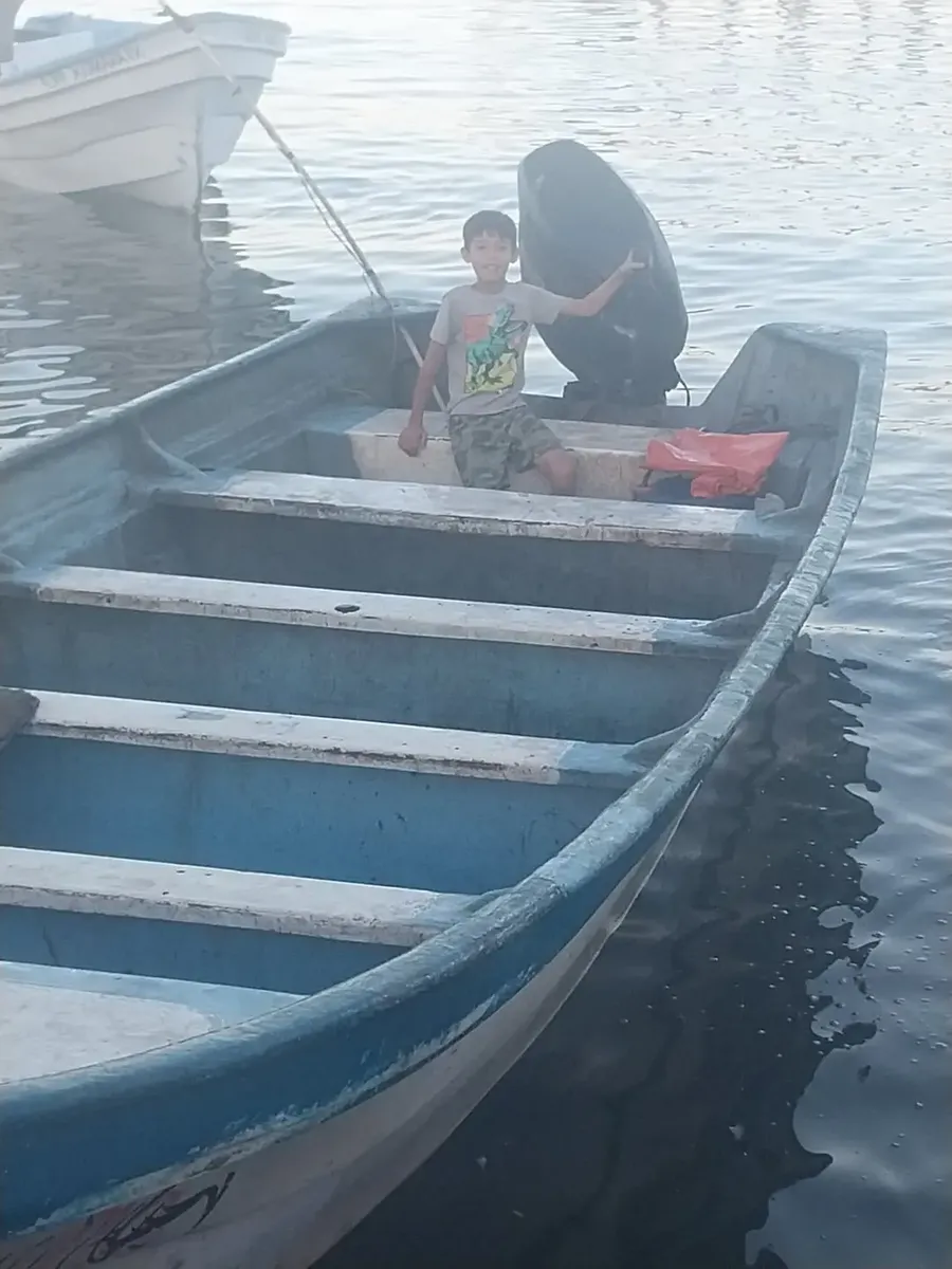 Fish65564499319683120