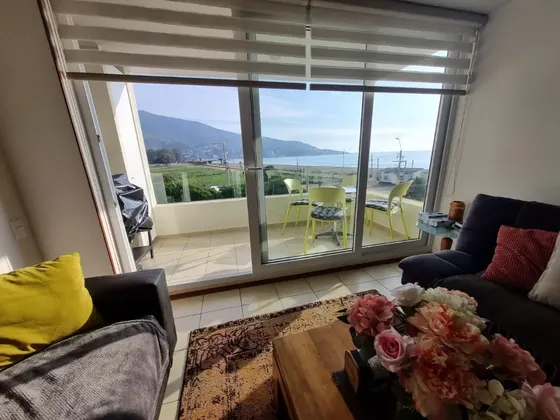 Arriendo Depto Vista Directa Al Mar-4 Personas Papudo Laguna