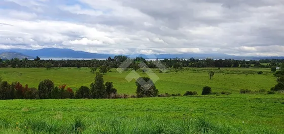 Parcela En Venta En Río Bueno