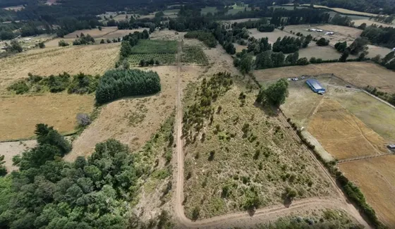 Terreno 184.891 M2 - Loncoche