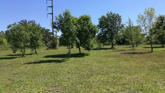 Lote 632 M2- Magdalena