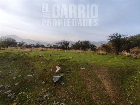 Sitio En Venta En Colina
