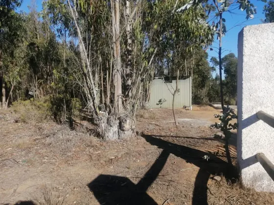 Oportunidad: Parcela 5004 M² En Algarrobo