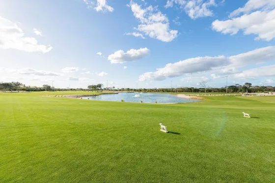 Terreno(56) En Venta En Privada Provincia En Yucatán.