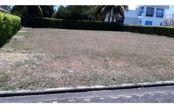 Vendo Lote En Condominio Santa  Ana Flandes