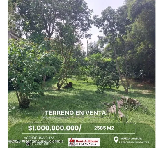 Lote En  Vereda La Mata Manzanares Rah Co: 25-1505