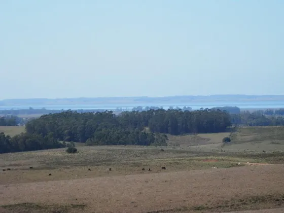 Garzon Estancia Unica 880ha A Minutos Del Pueblo
