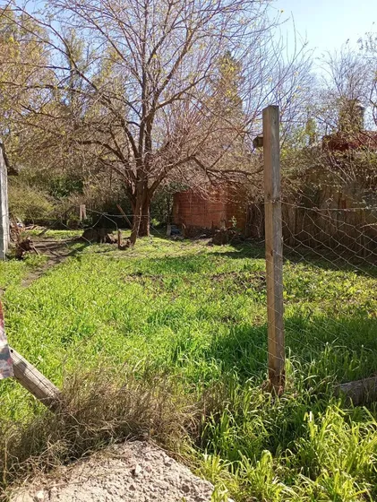 Terreno En  Venta Moreno